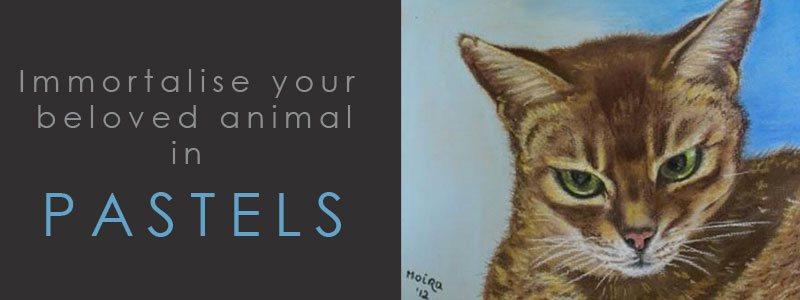 Pastel Pet Portraits - Immortalise your beloved animal in PASTELS